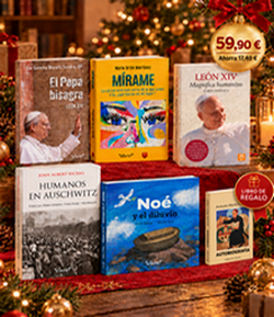 LOTE NAVIDEÑO CLARET